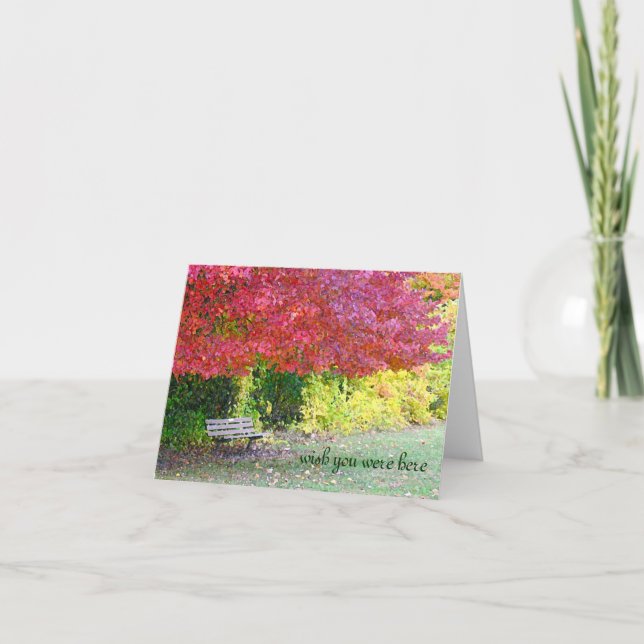 TARJETA PARK BENCH VACÍO, "QUISIERA QUE ESTUVIERAS AQUÍ" ( (Anverso)