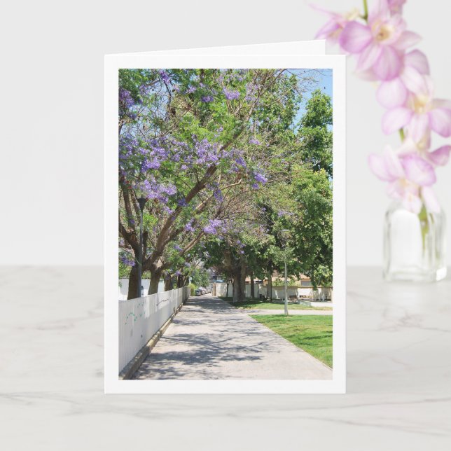 Tarjeta Parque de la Bombilla, Lliria, Valencia, España (Orquídea)