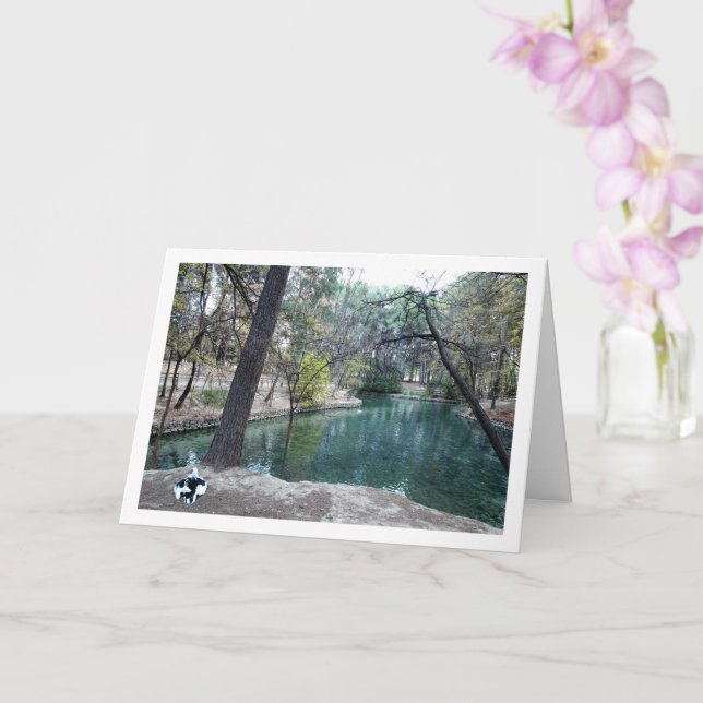 Tarjeta Parque de San Vicente, Lliria, Valencia, España (Orquídea)