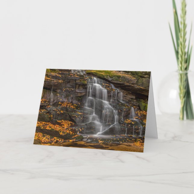 Tarjeta Parque Estatal Blackwater Falls (Anverso)