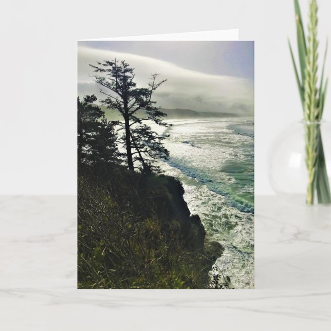 Tarjeta Parque Estatal Devil's Punchbowl, Newport, Oregón (Anverso)