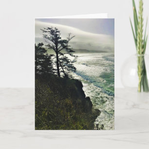 Tarjeta Parque Estatal Devil's Punchbowl, Newport, Oregón