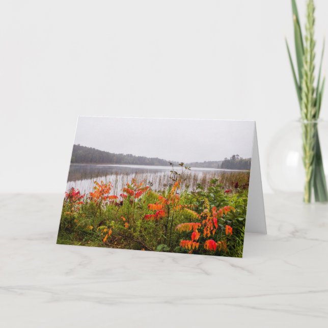 Tarjeta Parque estatal Itasca | Minnesota (Anverso)