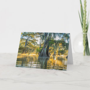 Tarjeta Parque estatal Lake Fausse Pointe