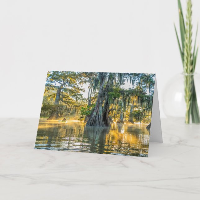 Tarjeta Parque estatal Lake Fausse Pointe (Anverso)