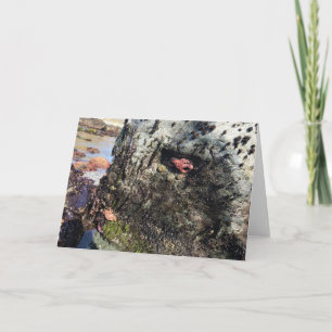 Tarjeta Parque Estatal Sisters Rock, Costa de Oregón