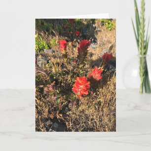 Tarjeta Parque Estatal Sisters Rock, Costa de Oregón