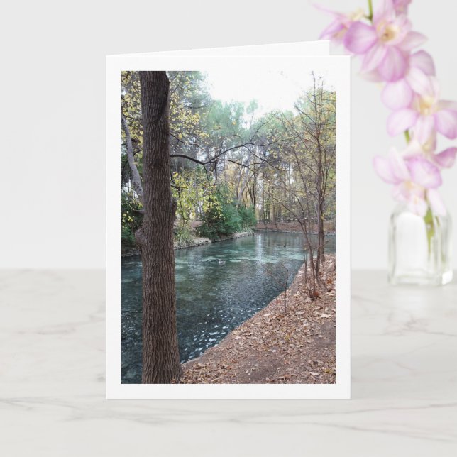 Tarjeta Parque Municipal San Vicente, Lliria, Valencia (Orquídea)