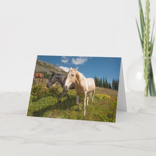 Tarjeta Parque nacional Cascades del Norte (Anverso)