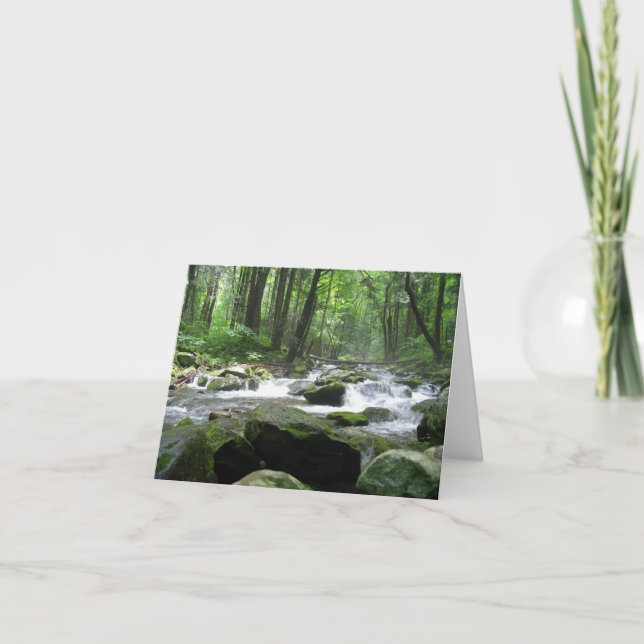 Tarjeta Parque nacional Crosby Creek Great Smoky Mountains (Anverso)