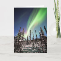 Parque nacional de la aurora boreal el | Denali