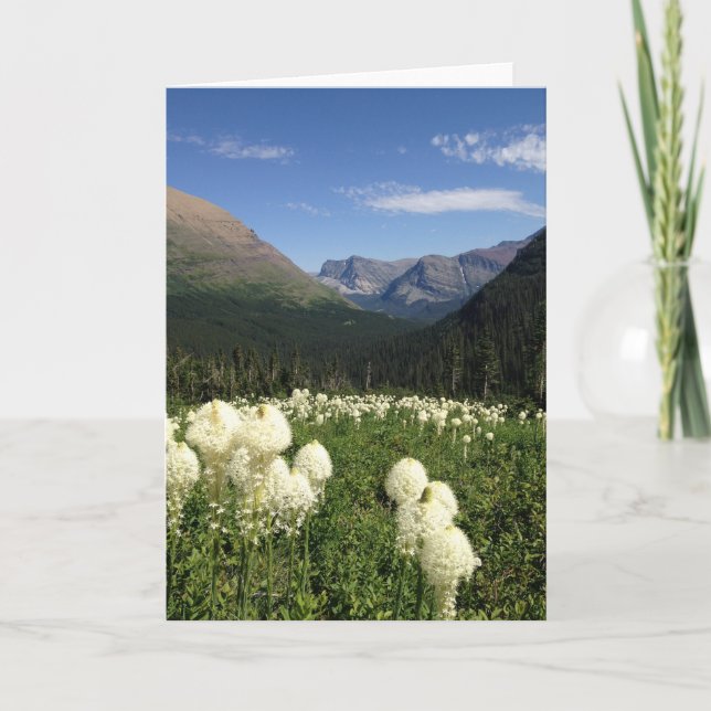 Tarjeta Parque nacional Glaciar de Oso (Anverso)