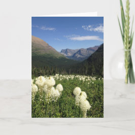Tarjeta Parque nacional Glaciar de Oso