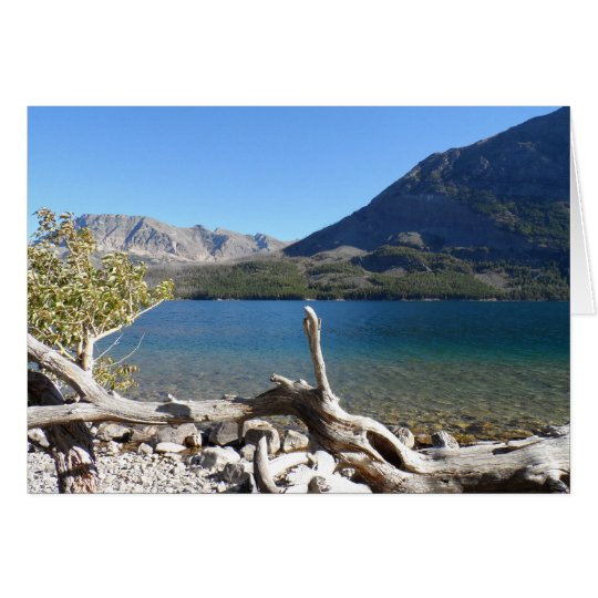 Tarjeta Parque Nacional Glacier del lago st Mary