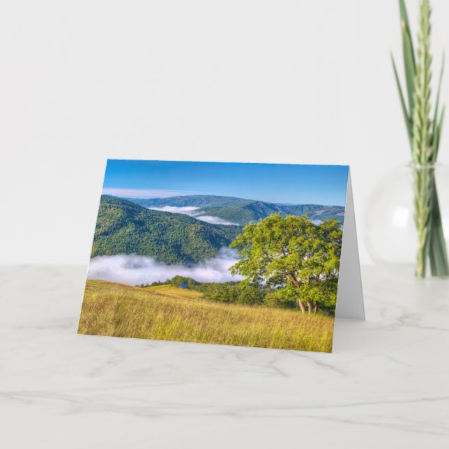 Tarjeta Parque Nacional Redwood, California (Anverso)