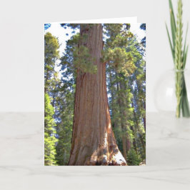 Tarjeta Parque nacional Sequoia