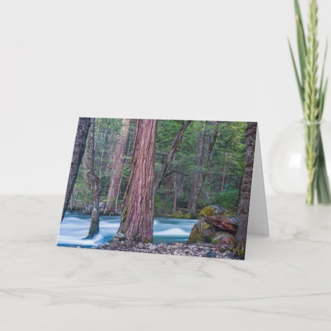 Tarjeta Parque nacional Yosemite Sequoias & Merced River,  (Anverso)