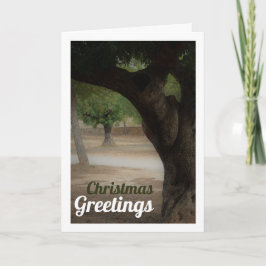 Tarjeta Parque San Vicente Lliria, Valencia