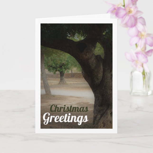 Tarjeta Parque San Vicente Lliria, Valencia (Orquídea)