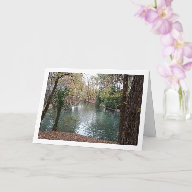 Tarjeta Parque San Vicente, Lliria, Valencia, España (Orquídea)