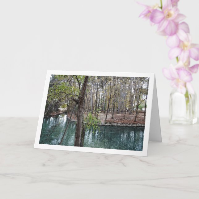 Tarjeta Parque San Vicente, Lliria, Valencia, España (Orquídea)