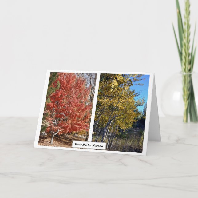 Tarjeta Parques de Reno en otoño, Nevada, fotografía J.Hal (Anverso)