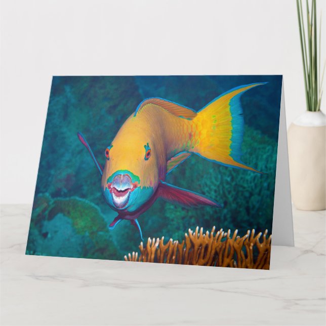 Tarjeta Parroquia - ¡Sorprendente maquillaje! Fotografía c (Anverso)