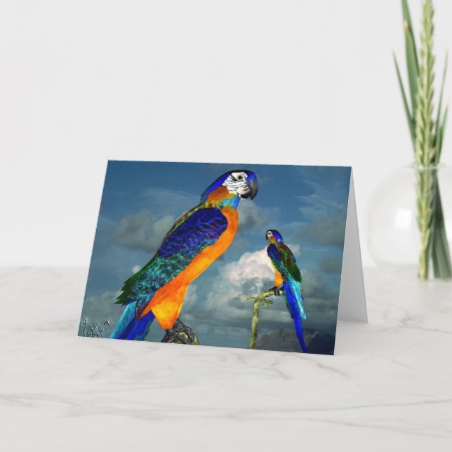 TARJETA PARROS HIPEROS / ARA AZUL (Anverso)