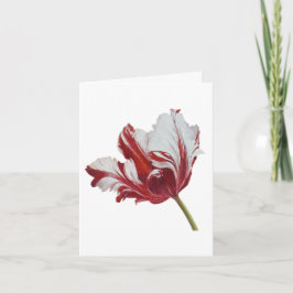 Tarjeta Parrot Tulip
