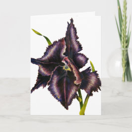 Tarjeta Parrot Tulip