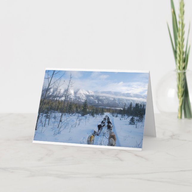 Tarjeta ParrotSleds - Paisaje (Anverso)