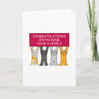 Pasar A Niveles Felicitaciones