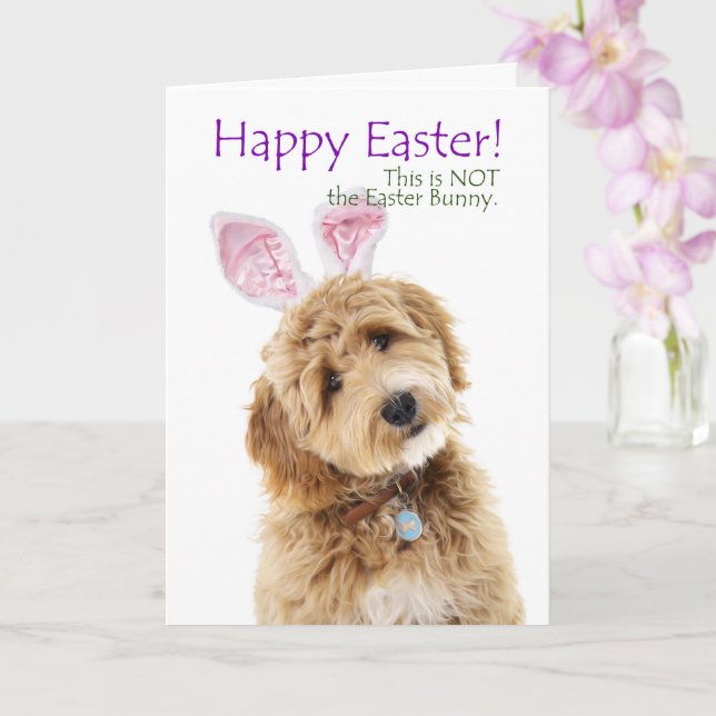 Tarjeta Pascua de perro garabato divertido (Orquídea)