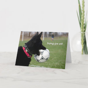 Tarjeta Pase bien al perro del fútbol