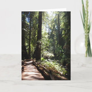 Tarjeta Paseo conmigo