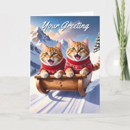 Tarjeta Paseo en gatos