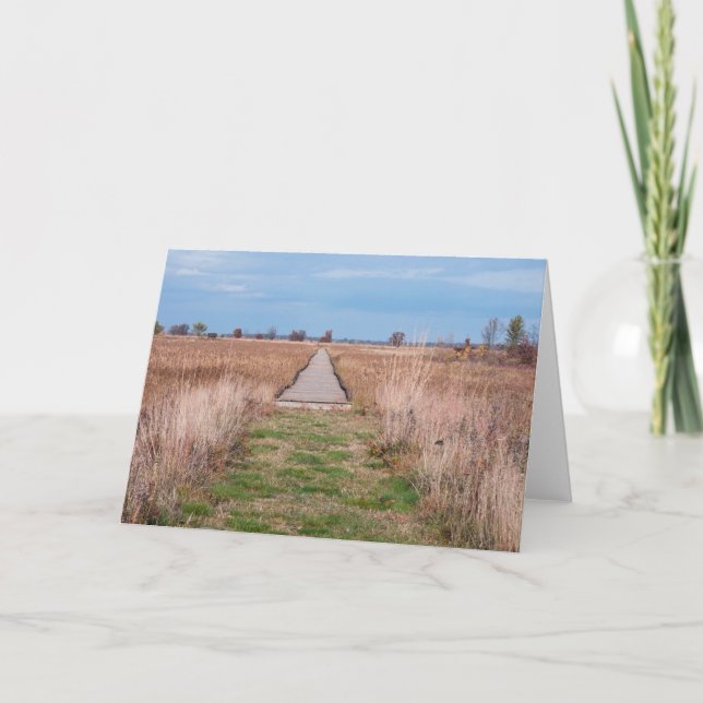 Tarjeta paseo marítimo a través de prairie en necedah (Anverso)