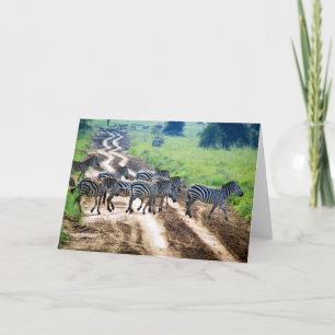 Tarjeta paso de cebra