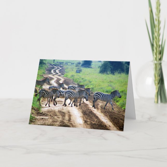 Tarjeta paso de cebra (Anverso)