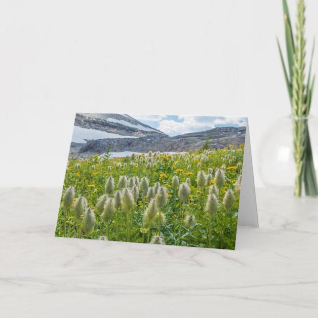 Tarjeta Pasquefas occidentales | Montañas de Kootenay Orie (Anverso)