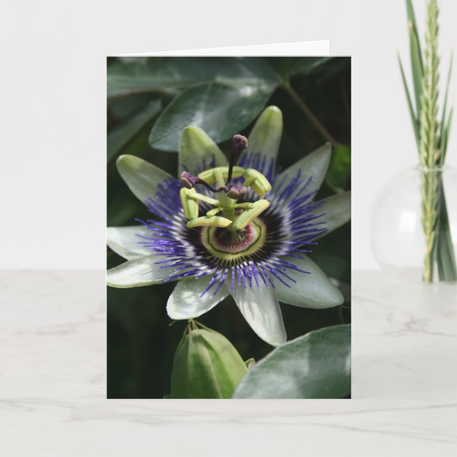Tarjeta Passiflora - Fleur de la Passion (Anverso)