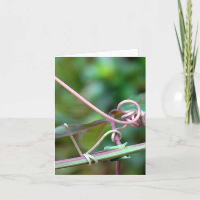 Tarjeta Passion Vine ~ ¿Por qué Knot? (Anverso)