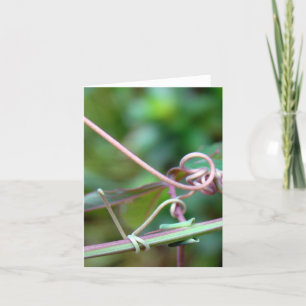 Tarjeta Passion Vine ~ ¿Por qué Knot?