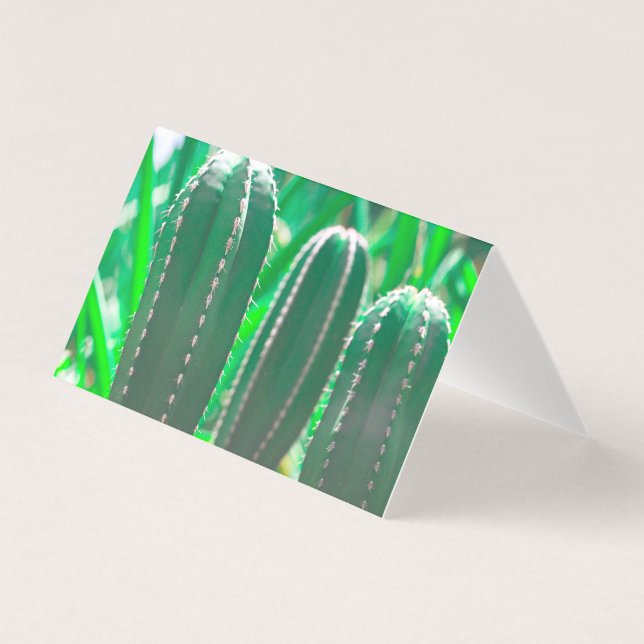 Tarjeta Pastel Cactus verde hojas pastel (Anverso)
