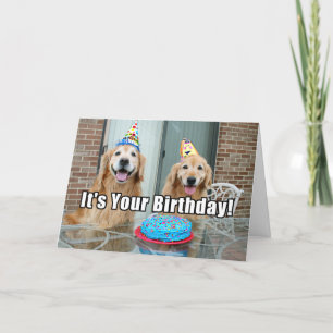 Tarjeta Pastel de cumpleaños feliz de perro con recuperaci