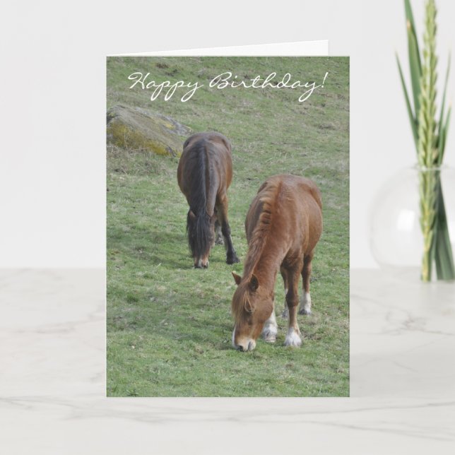 Tarjeta Pasto de cumpleaños de las mazorcas Galés (Anverso)