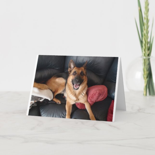 Tarjeta Pastor Alemán (Anverso)