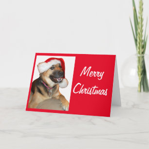 Tarjeta Pastor alemán con un Gorra de Santa Claus
