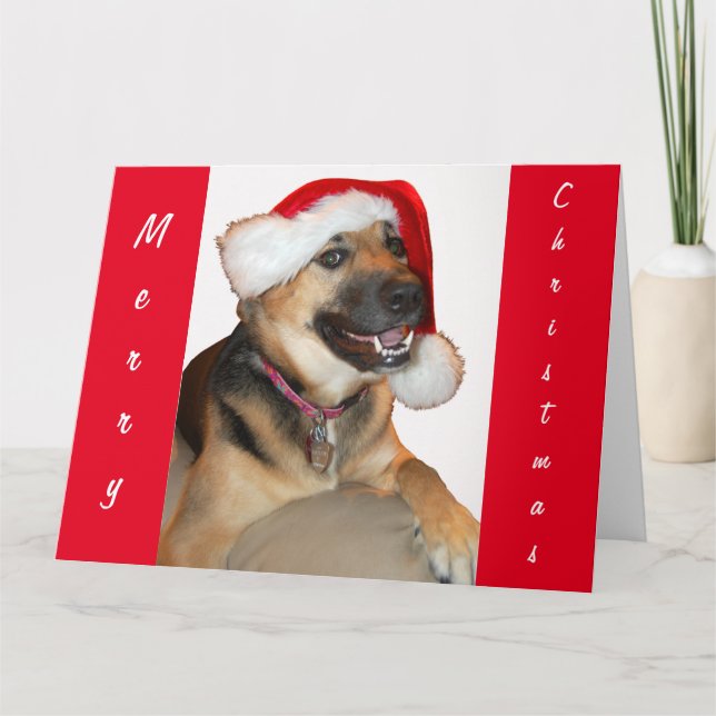 Tarjeta Pastor alemán con un Gorra de Santa Claus (Anverso)