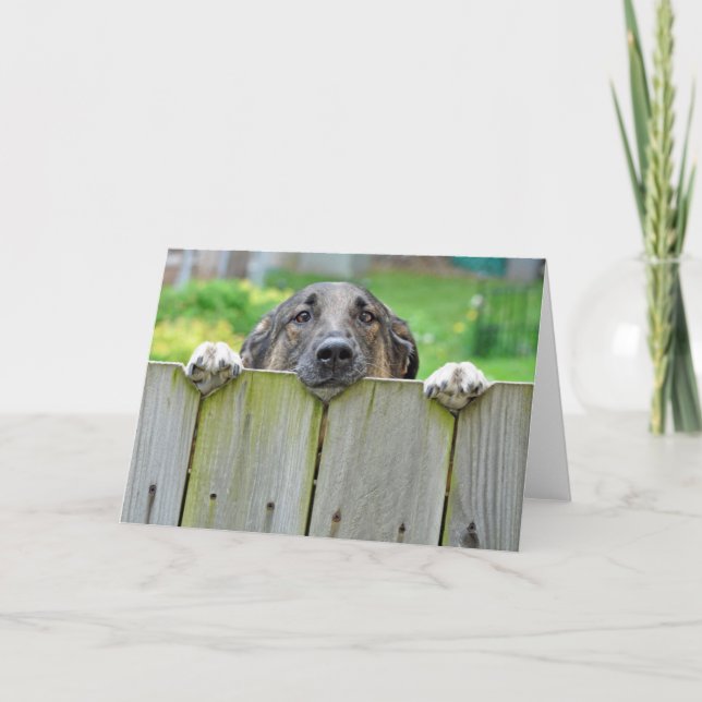 Tarjeta Pastor alemán mirando la cerca (Anverso)